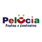 Denise Maciel - @peluciafestascapao - Instagram