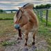 Denise Malmgren - Facebook