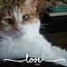 Denise Novielle Mandel - Facebook