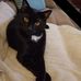 Denise Manson - Facebook