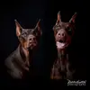 denisemarion239 - @denisemarion239 - TikTok