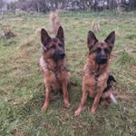 Denise Matchett - @denisematchett - Instagram