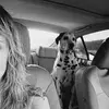 denisematson6 - @denisematson6 - TikTok