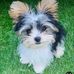 Denise Mattison - Facebook