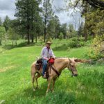 Denise McCabe - @denisemccabepagosasprings - Instagram