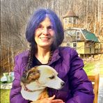 Denise McClellan - Facebook