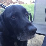 Denise Mcclelland - @mcclellanddenise68 - Instagram