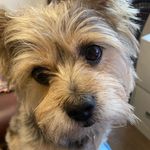 Denise McDowell - @anndmc - Instagram