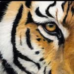 Denise McDowell - @mcdowell6936 - Instagram