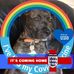 Denise Mcmahon - Facebook