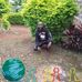 Denisi Macha - Facebook