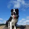 Denise Mercier355 - @denisemercier355 - TikTok