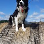 Denise Mercier - @abside.conseils - Instagram