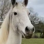 Denise Millard - @denise.millard.68 - Instagram