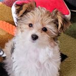 Denise Gayhart-Mize - @gayhartmize - Instagram