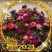 Denise Matz - Facebook