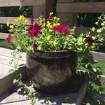 Denise Moeller Wessling - @denise59wessling - Instagram