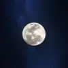 user1477493841141 - @denisemoeller1 - TikTok