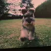 Denise_Monaghan - @Denise_Monaghan - TikTok