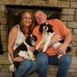Denise Carricato Morrill - @denisemorrill - Instagram