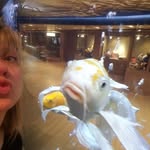 Denise Morse - @denisemorse - Instagram