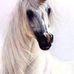 Denise Mortimer - Facebook