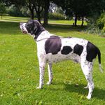 Denise Mortimer - @mortimer.denise - Instagram
