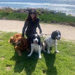 Denise Mortimer - @deemort1 - Instagram