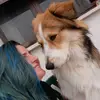 Denise Mortimer - @denise.mortimer - TikTok