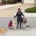 Denise Moscatelli - Facebook