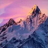 denisemontagna - @denise_mountain - TikTok