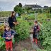 Denise Mudge - Facebook
