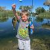 Denise Mudge Nieblas - Facebook