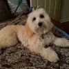 Denise Mullins - @denise.mullins7 - TikTok