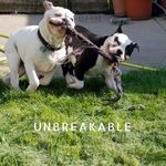 Denise Mullins - @denise.mullins.75 - Instagram