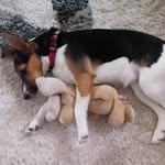 Denise Linette Münch - @deniselinettemunch - Instagram
