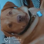 Denise Münch - @denise3878880 - Instagram