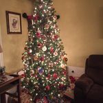 Denise Nagy - @dnags65 - Instagram