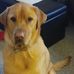 Denise Nagy - Facebook