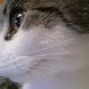 Denise Naumann975 - @denisenaumann975 - TikTok