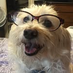 denisenewcomb - @imported_opal - Instagram