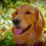 Denise Newton - @denise.newton.26 - Instagram