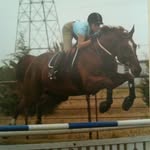 Denise Nicely - @nicelyhunterjumpers - Instagram
