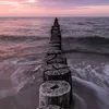 Denise Norman - @denise.norman - TikTok
