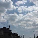 Denise North - @dillyduck - Instagram
