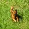 Denise Nowak - @denise.nowak2 - TikTok