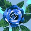 Denise Nowak - @denise.nowak4 - TikTok