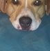 Denise Marie Ogle - Facebook