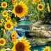 Denise Ogle - Facebook