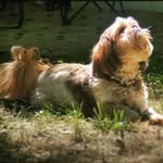 Denise Park - @flipflopqueen3 - Instagram